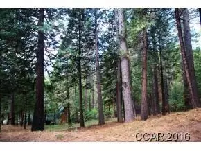2396 Elizabeth Dr, Arnold, CA 95223 photo 8