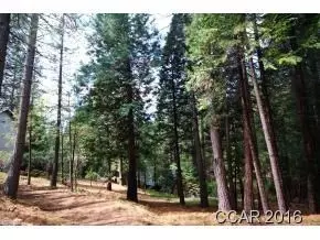 2396 Elizabeth Dr, Arnold, CA 95223 photo 9