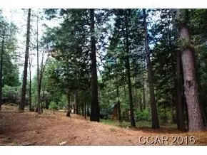 2396 Elizabeth Dr, Arnold, CA 95223 photo 3