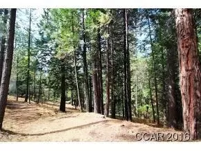 2396 Elizabeth Dr, Arnold, CA 95223 photo 1