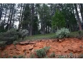 2396 Elizabeth Dr, Arnold, CA 95223 photo 6