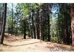2396 Elizabeth Dr, Arnold, CA 95223 photo 2