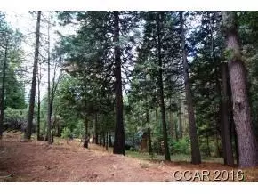 2396 Elizabeth Dr, Arnold, CA 95223 photo 7