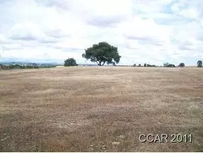 142 Falling Leaf Ct, Copperopolis, CA 95228 photo 4
