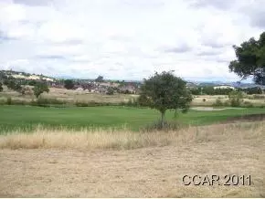 142 Falling Leaf Ct, Copperopolis, CA 95228 photo 1