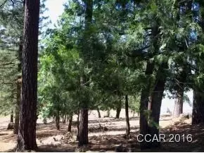 1112 Sandalwood Dr, Murphys, CA 95247 photo 2