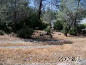 328 Forest Meadows Dr, Murphys, CA 95247 photo 1