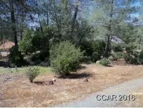 328 Forest Meadows Dr, Murphys, CA 95247 photo 2