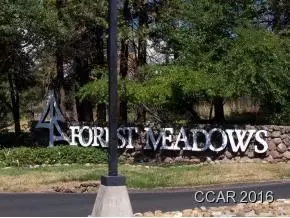 328 Forest Meadows Dr, Murphys, CA 95247 photo 3