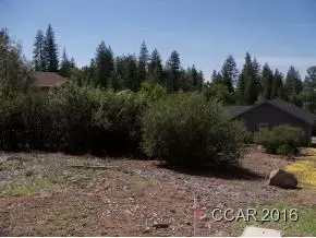 352 Forest Meadows Dr, Murphys, CA 95247 photo 3