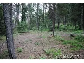 47 Sugar Pine Rd, Dorrington, CA 95223 photo 3