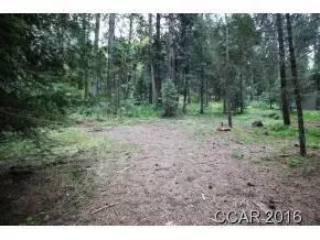 47 Sugar Pine Rd, Dorrington, CA 95223 photo 2