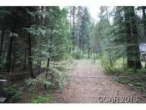 47 Sugar Pine Rd, Dorrington, CA 95223 photo 1