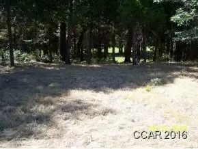 1492 Sandalwood Dr, Murphys, CA 95247 photo 1