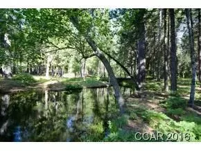 1925 Moran Rd, Arnold, CA 95223 photo 1