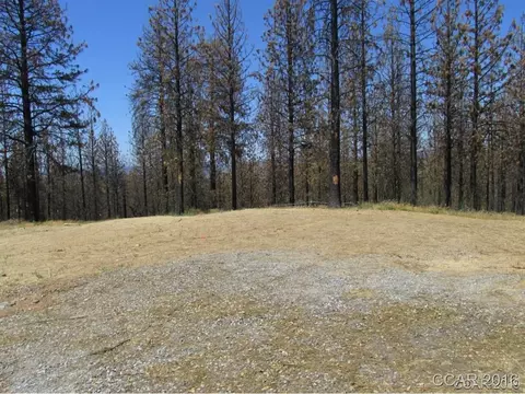 7125 Doster Rd, Mountain Ranch, CA 95246 photo 4