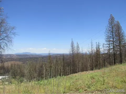 7125 Doster Rd, Mountain Ranch, CA 95246 photo 5