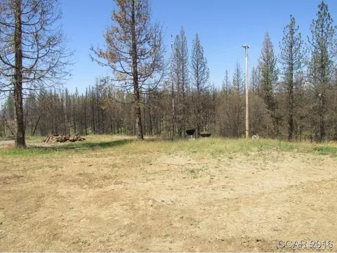 7125 Doster Rd, Mountain Ranch, CA 95246 photo 7
