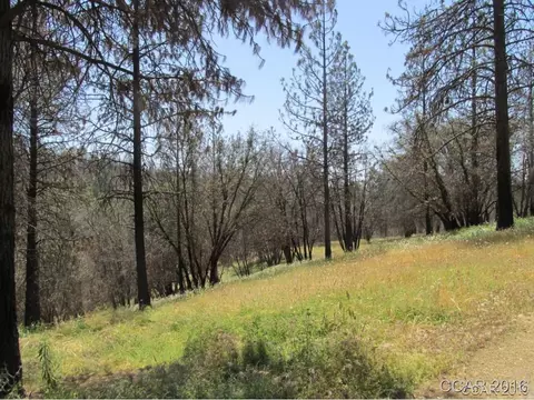 7125 Doster Rd, Mountain Ranch, CA 95246 photo 2