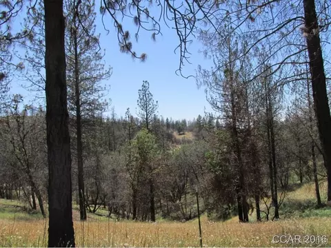 7125 Doster Rd, Mountain Ranch, CA 95246 photo 9