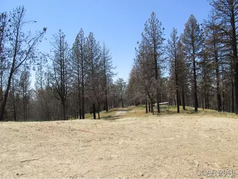 7125 Doster Rd, Mountain Ranch, CA 95246 photo 8