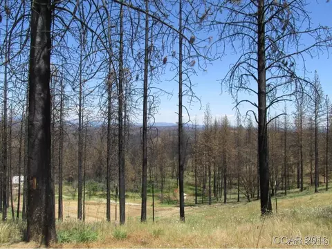 7125 Doster Rd, Mountain Ranch, CA 95246 photo 3