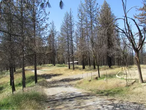 7125 Doster Rd, Mountain Ranch, CA 95246 photo 6