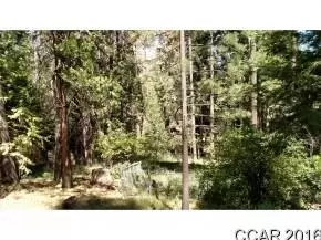 2845 Venado Dr, Arnold, CA 95223 photo 1