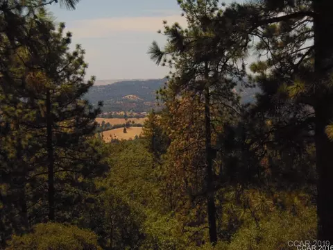 4650 El Camino Casale, Murphys, CA 95247 photo 4