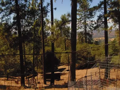 4650 El Camino Casale, Murphys, CA 95247 photo 3
