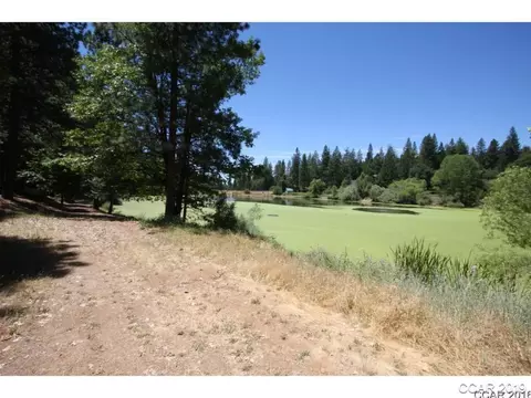 73 Foxglove Ct, Murphys, CA 95247 photo 6