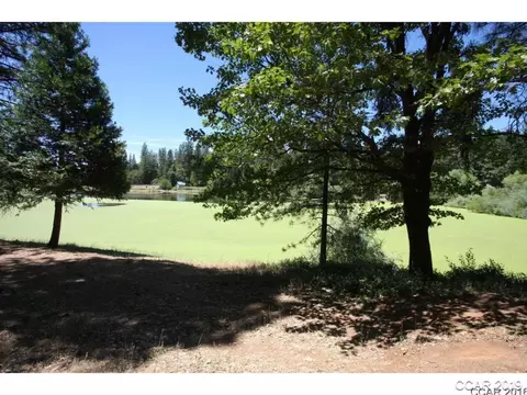 73 Foxglove Ct, Murphys, CA 95247 photo 2