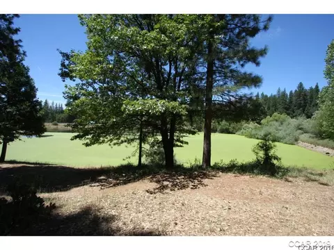 73 Foxglove Ct, Murphys, CA 95247 photo 4