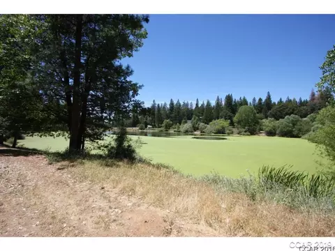 73 Foxglove Ct, Murphys, CA 95247 photo 1