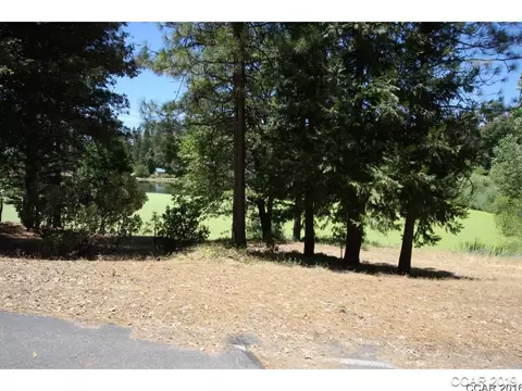 73 Foxglove Ct, Murphys, CA 95247 photo 9
