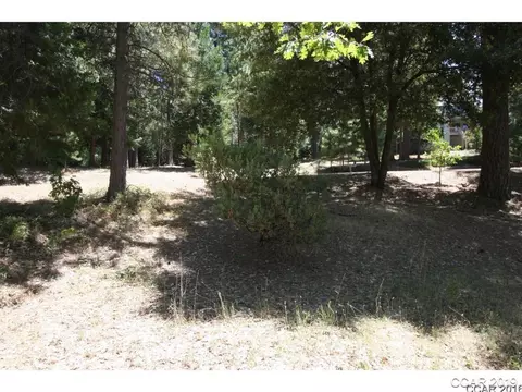 73 Foxglove Ct, Murphys, CA 95247 photo 3
