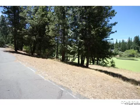 73 Foxglove Ct, Murphys, CA 95247 photo 7