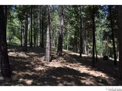 2587 Venado Dr, Arnold, CA 95223 photo 5