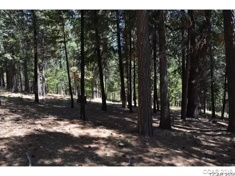 2587 Venado Dr, Arnold, CA 95223 photo 3