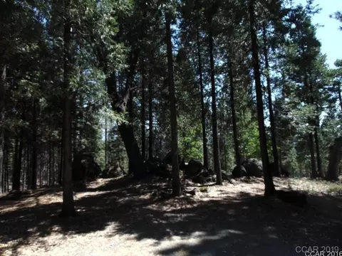 3943 Tree, West Point, CA 95255 photo 2