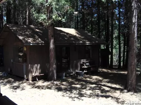 3943 Tree, West Point, CA 95255 photo 5
