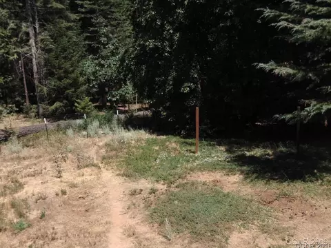 3637 Roden Dr, West Point, CA 95255 photo 5