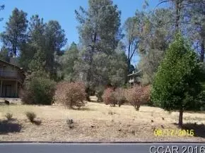 630 Forest Meadows Dr, Murphys, CA 95247 photo 1