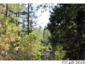 2885 Chamonix Ct, Arnold, CA 95223 photo 4