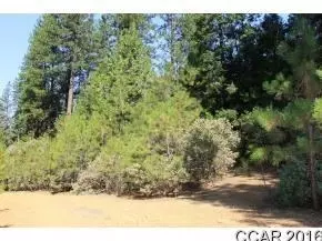 2885 Chamonix Ct, Arnold, CA 95223 photo 1