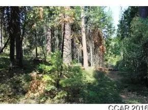 2885 Chamonix Ct, Arnold, CA 95223 photo 2