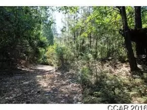 2885 Chamonix Ct, Arnold, CA 95223 photo 7