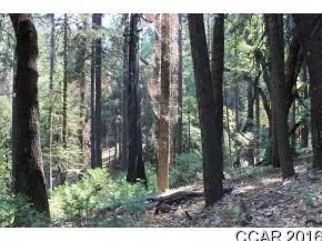 2885 Chamonix Ct, Arnold, CA 95223 photo 6