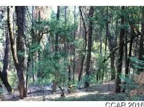 2885 Chamonix Ct, Arnold, CA 95223 photo 3