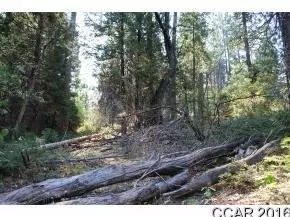 2885 Chamonix Ct, Arnold, CA 95223 photo 5
